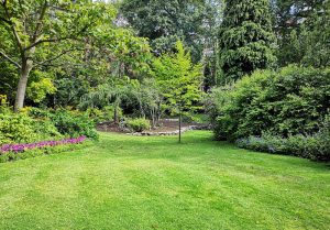 Optimiser l'expérience du jardin à Ouches