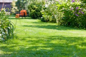 travaux jardin et paysage Ouches